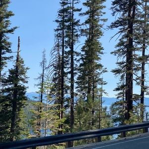 Meet your Posher, Lety